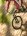 MTB (6)